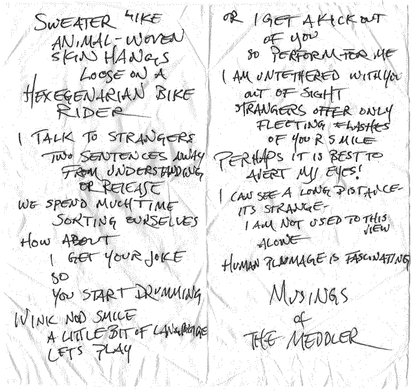 musings of the meddler - spring 2006