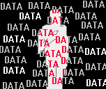 data body